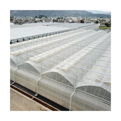 China Special Widely Used Plastic Sheet Design Gothic Tropical Hydroponic Garden Multi Span Plastic Sheet Greenhouse for sale