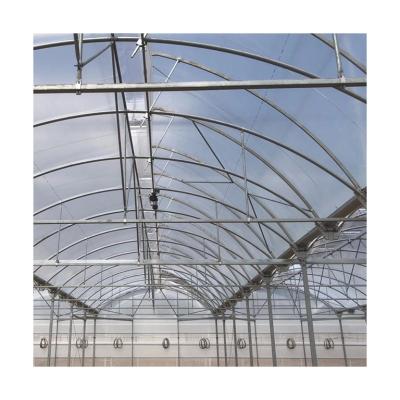 China Custom High Quality Plastic Sheet Flower Planting Shed Multispan Garden Plastic Agricultural Greenhouse for sale