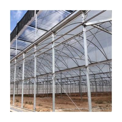 China Plastic Sheet Cow Head Plastic Sheet Cove Retractable Greenhouse Spanish Lap Agricultural Plastic Sheet for sale