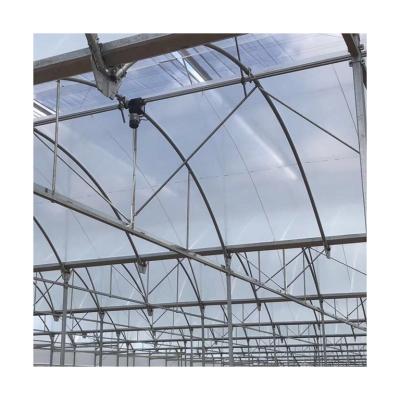 China Wholesale Plastic Sheet Plant Cow Head Spanish Plastic Sheet Multi - Span Greenhouse Flower Planting Shed for sale