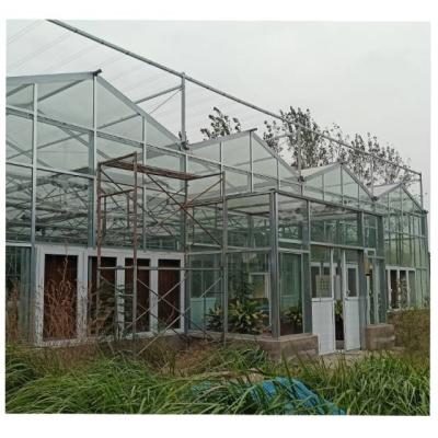 China Glass Agricultural Full Span Arched Membrane Hydroponic Greenhouse Tomato Strawberry Greenhouse High Quality Project for sale