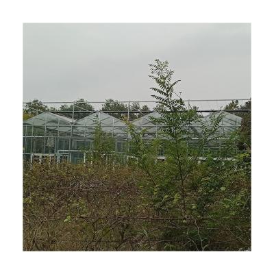 China Glass Sell Well Modern New Type Agricultural Eco Friendly Cultivation Greenhouse For Outdoor for sale