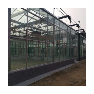 China Glass Efficient Venlo Tempered Hydroponics System Multi-span Glass Greenhouse for sale