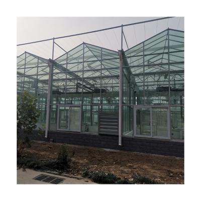 China Venlo Glass Farm Efficient Glass Equipment Tempered Glass Hydroponic Greenhouse Systems for sale