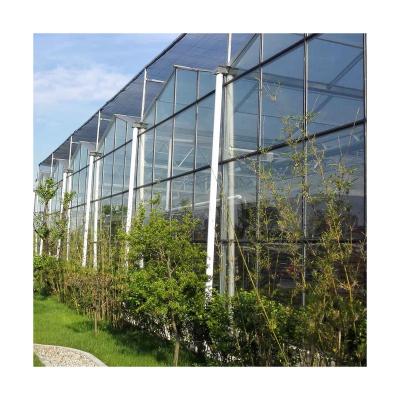 China Cheap Multi Span Professional Glass Manufacturer Garden Agricultural Planting Glass Greenhouse for sale