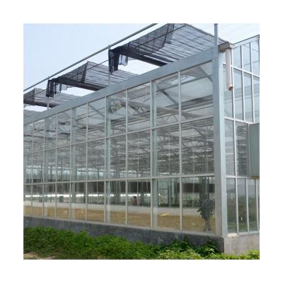 China New Reasonable Price Glass Multi - Span Glass Agricultural Greenhouse Planting Greenhouse for sale