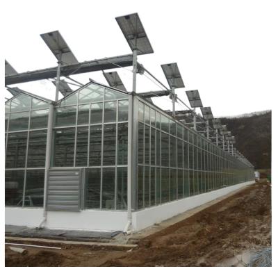 China High efficient sun panel venlo tempered glass vegetable greenhouse for sale with exhaust fan fan for greenhouse for sale