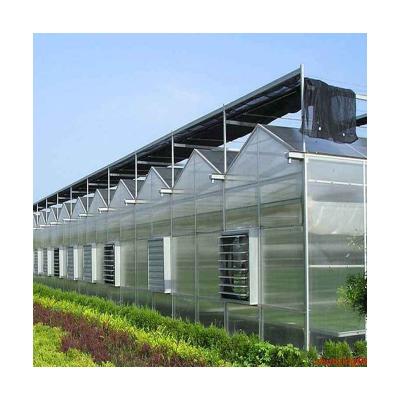 China Multi-span Intelligent PC Sun Panel Sun Panel Fast Delivery Venlo Type Greenhouse for sale