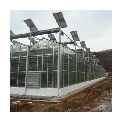 China Intelligent Agriculture Solar Panel Hydroponic Systems Multi-span Glass Venlo Type Glass Greenhouses for sale