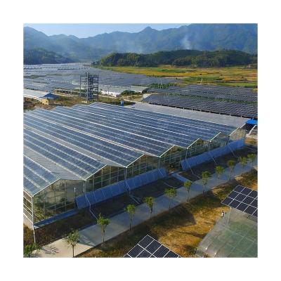 China Multi-span Smart Photovoltaic Solar Panel Panel Venlo Glass Type Greenhouse for sale