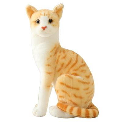 China Gift Kids Toys New Design Stuffed Animal Five Color Cute Cat Soft Peluches Cat Gato Plush Toy for sale