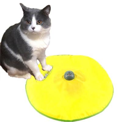 China Cat Play-Catch The Tail-Electric Interactive Viable, Spinning Feather, Movement, Auto Secret Mouse & Best Under Covering Cat Toy for sale