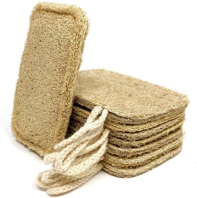 China 100%Biodegradable Natural Plant Loofah Dishwashing Sustainable Sponge With Cotton Loop Reusable Kitchen Cleaning Scrubber Wood Pulp Sponge for sale