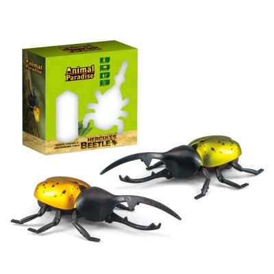 China Plastic Realistic Animal Model Game Prank Toy Beetle Toy Rc Insect Interesting Children Wholesale RC Hobby Simulation for sale