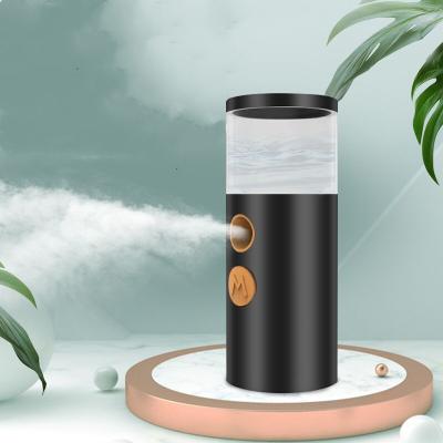 China Portable Handy Mini Electric Nano Mist Sprayer Ion Face Facial Nano Mist Moisturizer Negative Sprayer for sale