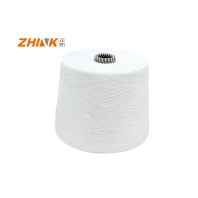 China Chinese Supplies Grade 100% Viscose Ne30/1 Siro Compact Spun Yarn with Evenness for sale