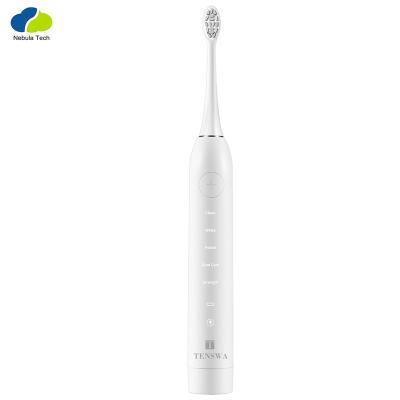 China Private Label Travel USB Electric Toothbrush Regular Ultrasonic Electric Toothbrush for sale