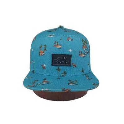 China COMMON 6 Panel High Quality Adjustable Size Custom Snap Back Hat With Woven Label For Adult for sale