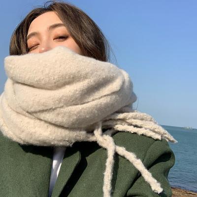 China Decoration gift accessory 2021 new fashion Japan Korea colorful warm scarf thickened INS cashmere solid color winter scarf for female for sale