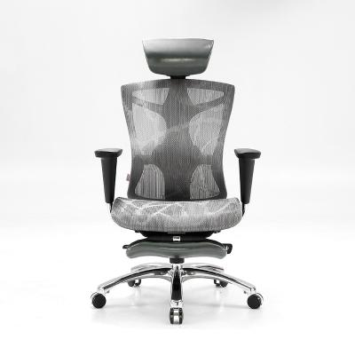 China Sihoo Design Lumbar Support Mesh Fabric Computer Office Chair Without Wheels for sale