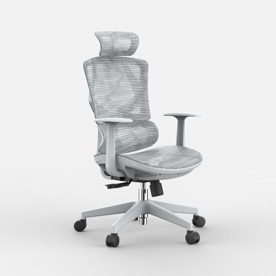 China Sihoo 2022 New Style Breathable Back Ergonomic Mesh Office Chair With Seat Sliding for sale