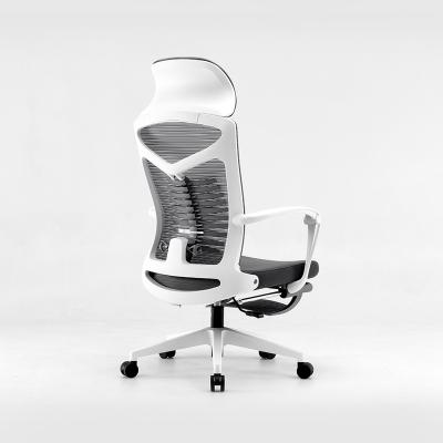 China Best Selling Modern Office Chair Lumbar Support Ergonomic Chairs For Office for sale