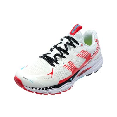 China EVA Design Latest EVA BMAI Cushioning Breathable Soft Sole Sneakers For Women for sale