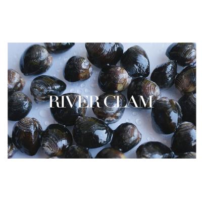 China Factory supply high quality healthy healthy frozen nature river and delicious seafood frozen boiled clam for sale