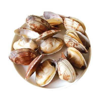 China Packaging Baby Seafood Suppliers Seafood Healthy Shell Food Delicious Frozen Clam Clam JELLY for sale