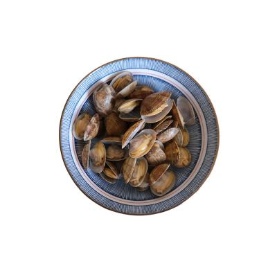 China Factory Supplier Vacuum Pack Seafood Dish Product FROZEN Baby Seafood Clam With Shell for sale