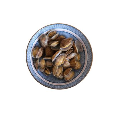 China Cheap Price FROZEN Cooked Shell Off Clam Spicy Seafood Clam Packaging China Frozen Seafood Clam for sale