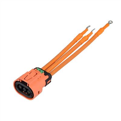 中国 Customized New Energy Assemblies Wire Harness Electric Vehicle Charging Cable 販売のため