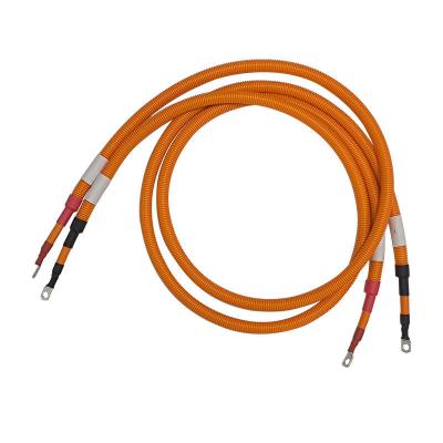 China High Voltage EV Wiring Harness PTC Automotive New Energy Vehicle OEM Cable Assembly zu verkaufen