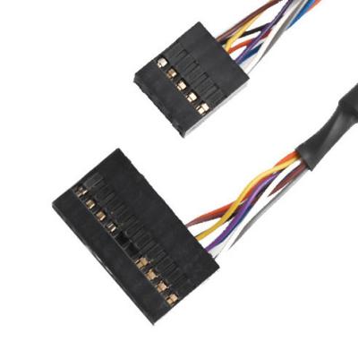 Chine Cable personnalisé Molex 22552101 10 postes à double rangée Skylake Ig Gigabyte Front à vendre