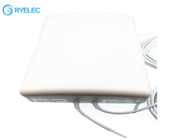 China De Antenne10dbi IP67 Witte Comité van MIMO 2* 4G LTE Antenne met 2*5m Rg58 KABEL aan Sma-Mannetje Te koop