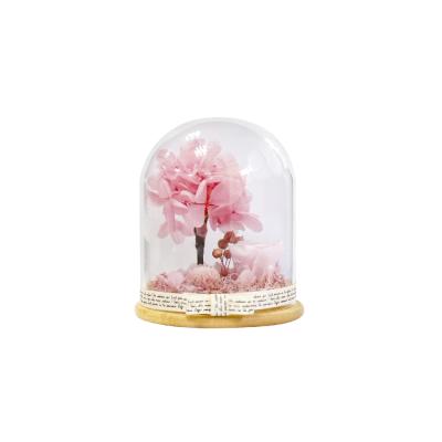 China Mother's Day Gift DIY Flower Preserved Hydrangea Dome Preserved Flower Arrangement for sale