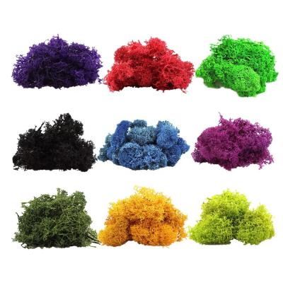 China Eid Reindeer Moss Wall Decoration preserved Moss Eternal Natural Preserved Moss decorative floral for sale