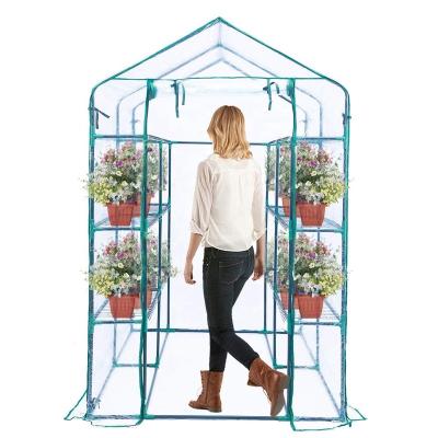 China Easily Assembled 4 Tier Walk In Cover Plastic Garden Greenhouses With Windows for sale