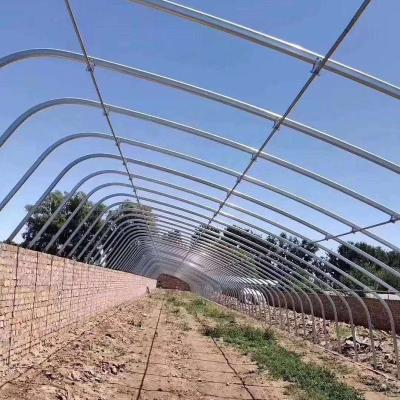 China Greenhouse Seedling Growing Steel Frame Galvanized Single Span Greenhouse For Agriculture Low Cost Tunnel Greenhouse for sale