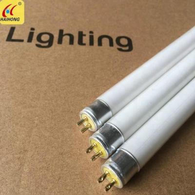 China T5 Fluorescent Lamp 8W G5 Lamp Tube F8T5 6500k 12000K Straight for sale