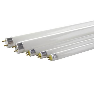 China Low Price T5/T8 Cool Chinese White Fluorescent Lamps Gold Suppliers Double Fluorescent Based Light Lamp Directly for sale