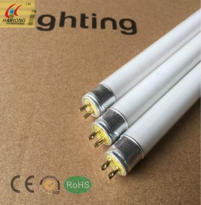 China T5 fluorescent light lamp tube G5 6500k 12000K straight for sale