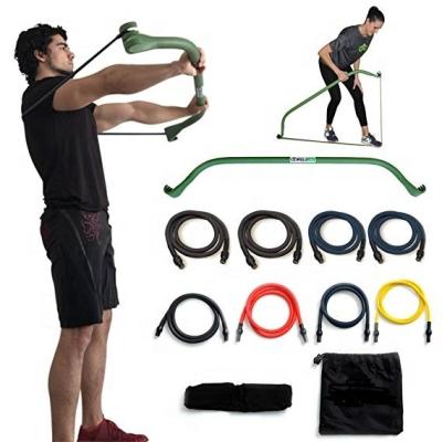 China Wellshow Universal Sport Arch Sport Gym Resistance Band System Portable Home Heavy Set Weightlifting & HIIT Interval Training Kit for sale