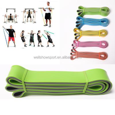 China Wellshow Portable Sport Pull Up Aid Bands Resistance Heavy Duty Workout Exercise Stretch Fitness Bands Aid Set For Body for sale