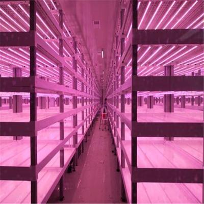 China Vertical Hydroponic Growing System Hydroponic Growing Equipment Container Plant Container Hydroponics Growing Sysem for sale