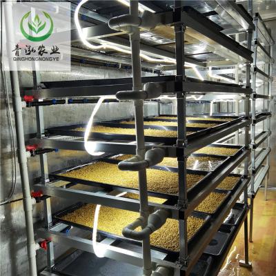 China Competitive Price Industrial Hydroponic Growing Systems Greenhouse Soilless Hydroponic Cultivation Equipments for sale