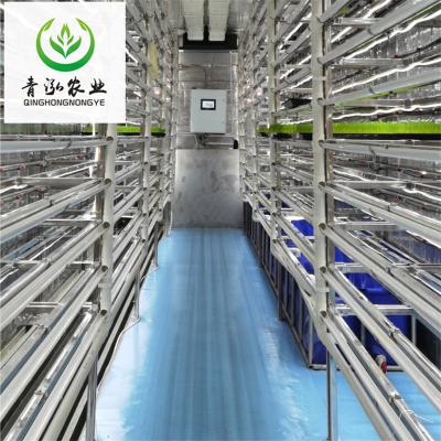 China Farms Feed High Production Rabbit Livestock Chicken Duck Catfish Goose Animal Key Sheep Development Machinery Technical Sales Visual Support for sale