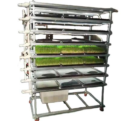 China Hot Selling Plastic Sheet Agricultural Protective And Big Size Fodder System For Planting Vegetables For Sale In Supermarket for sale