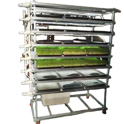 China Easy to Use Plant and High Selling Hydroponic Growing System for Planting Grass in the Home for sale