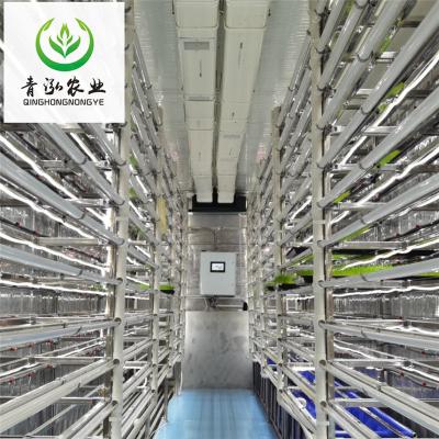 China Grows Hydroponic Automatic Hydroponic Forage Machine Barley System Forage Seedling Container Feeding Growing Machines for sale